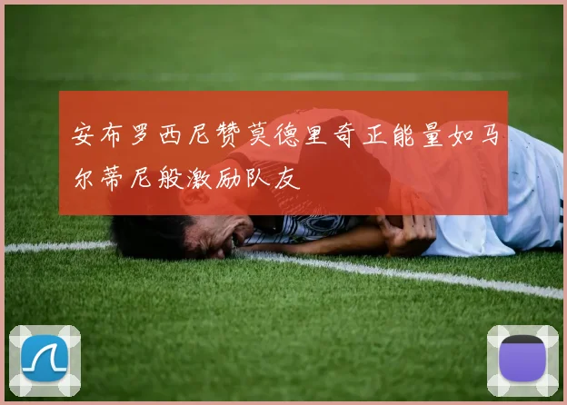 安布罗西尼赞莫德里奇正能量如马尔蒂尼般激励队友